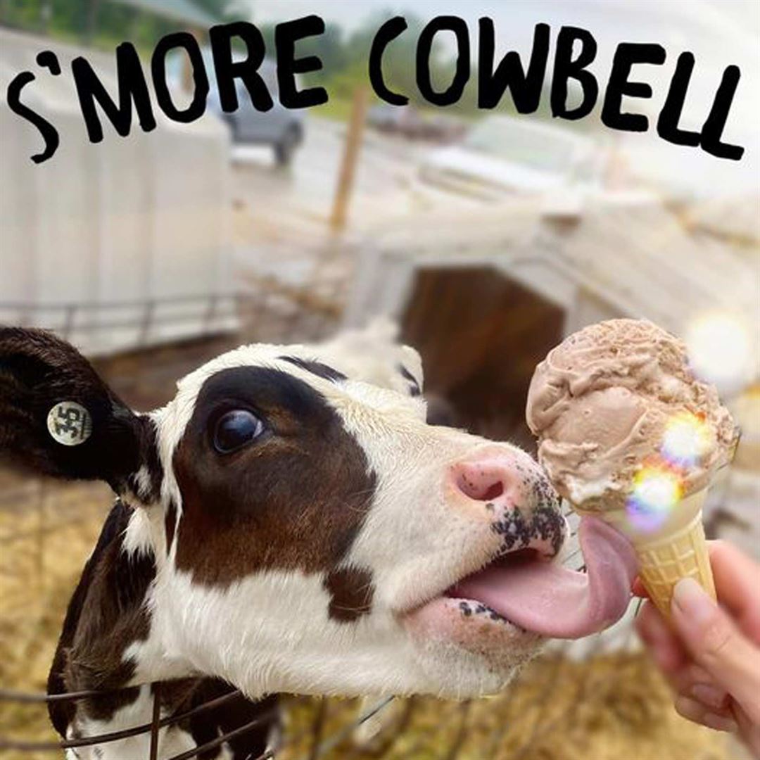 S'more Cowbell with Cow Licking Ice Cream Cone